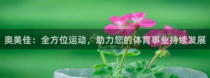凯捷平台体育：奥美佳：全方位运动，助力您的体育事业持