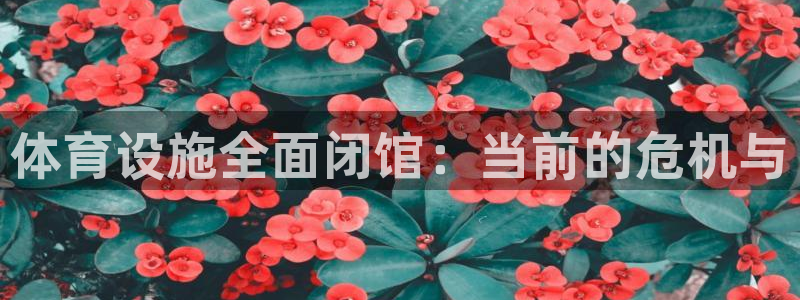 凯捷体育平台假的吗是真的吗：体育设施全面闭馆：当前的