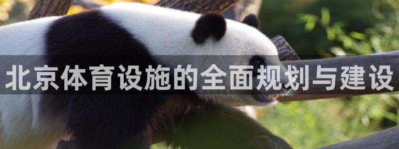 凯捷体育招商电话号码查询：北京体育设施的全面规划与建
