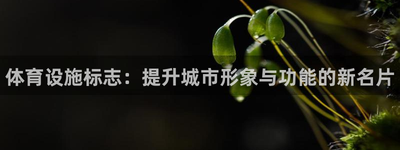 凯捷体育开户：体育设施标志：提升城市形象与功能的新名