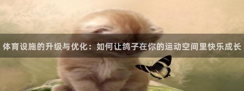 凯捷体育平台注册：体育设施的升级与优化：如何让鸽子在