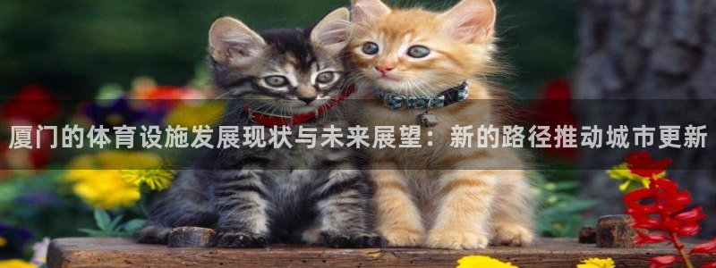 凯捷体育平台注册要钱吗安全吗：厦门的体育设施发展现状