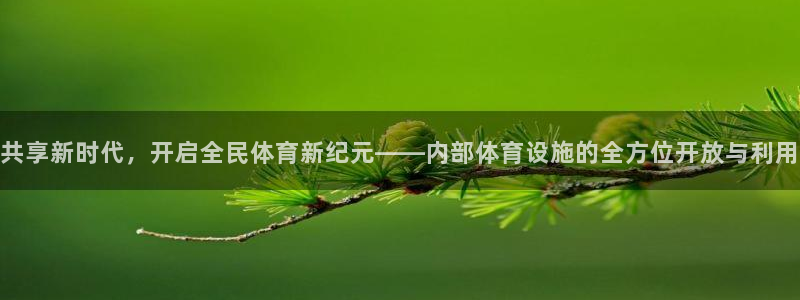 凯捷体育开户：共享新时代，开启全民体育新纪元——内部