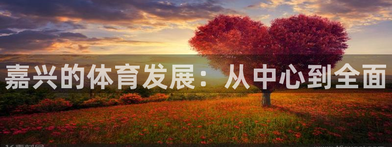 凯捷体育平台是正规平台吗安全吗：嘉兴的体育发展：从中