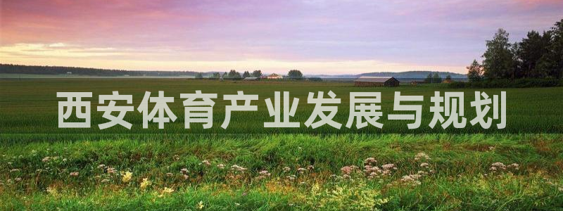 凯捷体育平台注册流程图：西安体育产业发展与规划