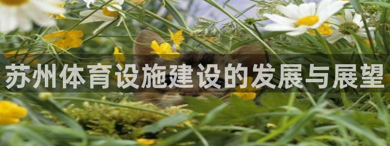 凯捷集团官网：苏州体育设施建设的发展与展望