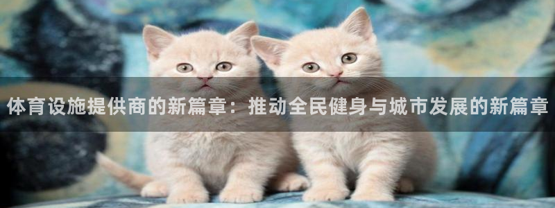 凯捷体育招商：体育设施提供商的新篇章：推动全民健身与城市发展