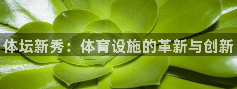 凯捷平台体育：体坛新秀：体育设施的革新与创新