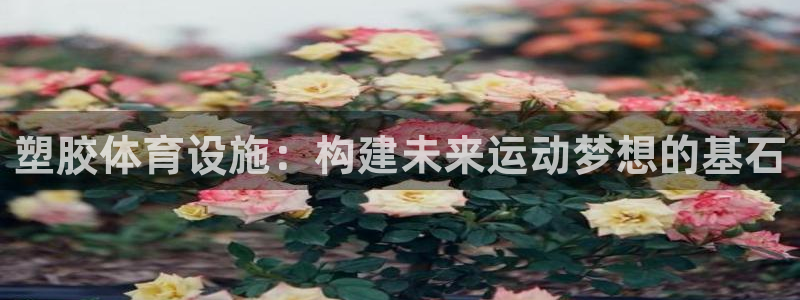 凯捷集团官网：塑胶体育设施：构建未来运动梦想的基石