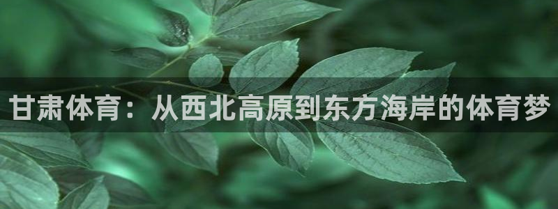 凯捷体育娱乐首页网站大全：甘肃体育：从西北高原到东方