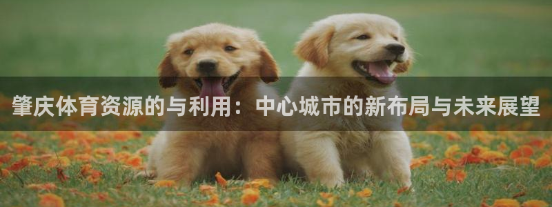 凯捷体育开户：肇庆体育资源的与利用：中心城市的新布局