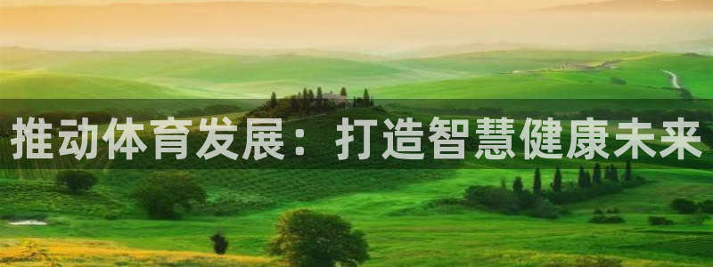 凯捷体育平台是正规平台吗安全吗：推动体育发展：打造智