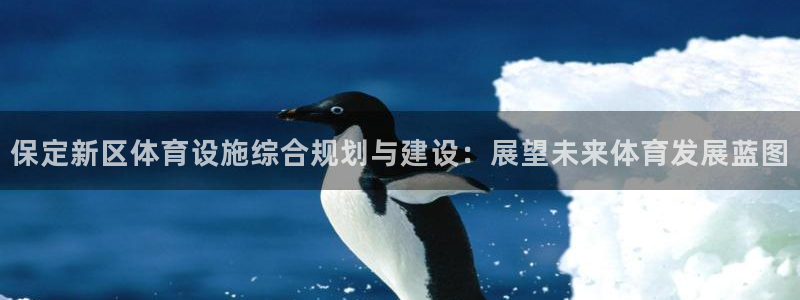 凯捷体育新能源：保定新区体育设施综合规划与建设：展望