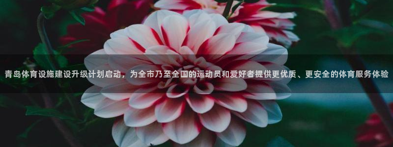 凯捷体育娱乐首页官网下载：青岛体育设施建设升级计划启