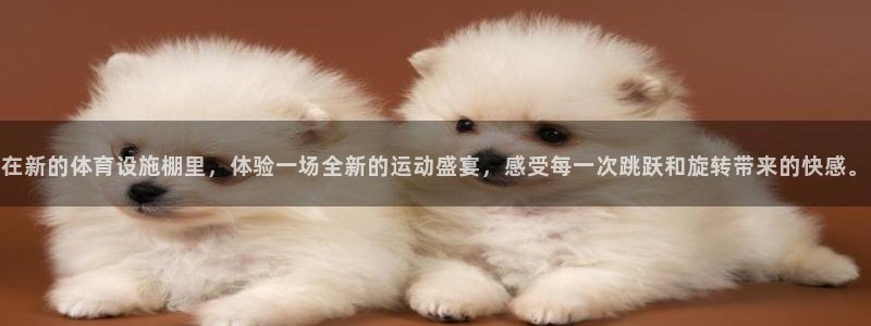 凯捷体育平台是正规平台吗：在新的体育设施棚里，体验一