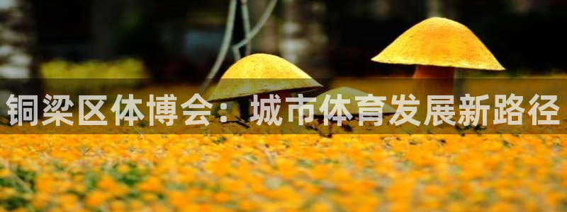凯捷体育软件：铜梁区体博会：城市体育发展新路径