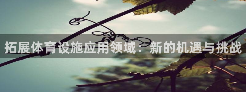 凯捷体育五金厂：拓展体育设施应用领域：新的机遇与挑战