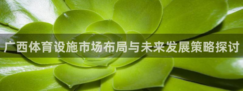 海南凯捷体育发展怎么样：广西体育设施市场布局与未来发展策略探