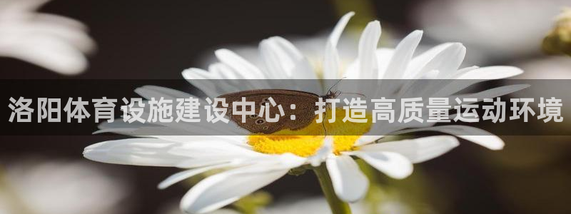 凯捷体育五金厂：洛阳体育设施建设中心：打造高质量运动环境 